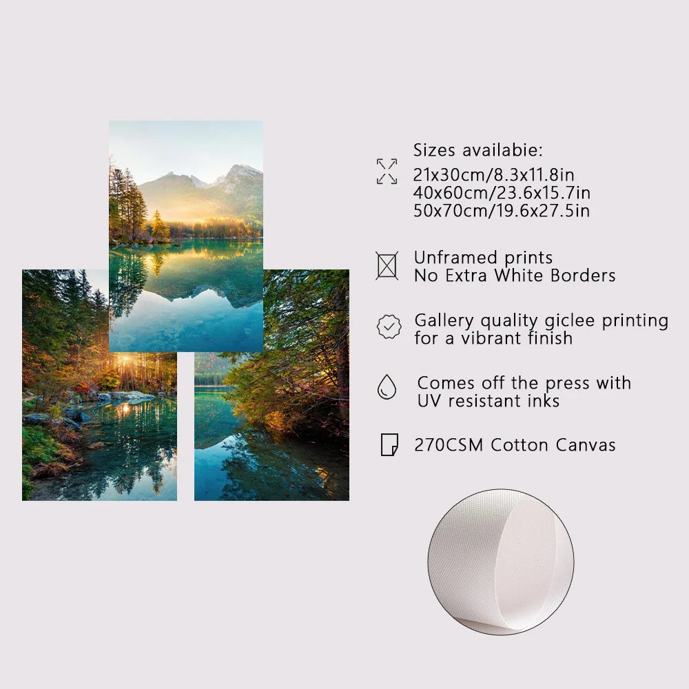 3PCS Nature Sunshine Forest Lake Poster