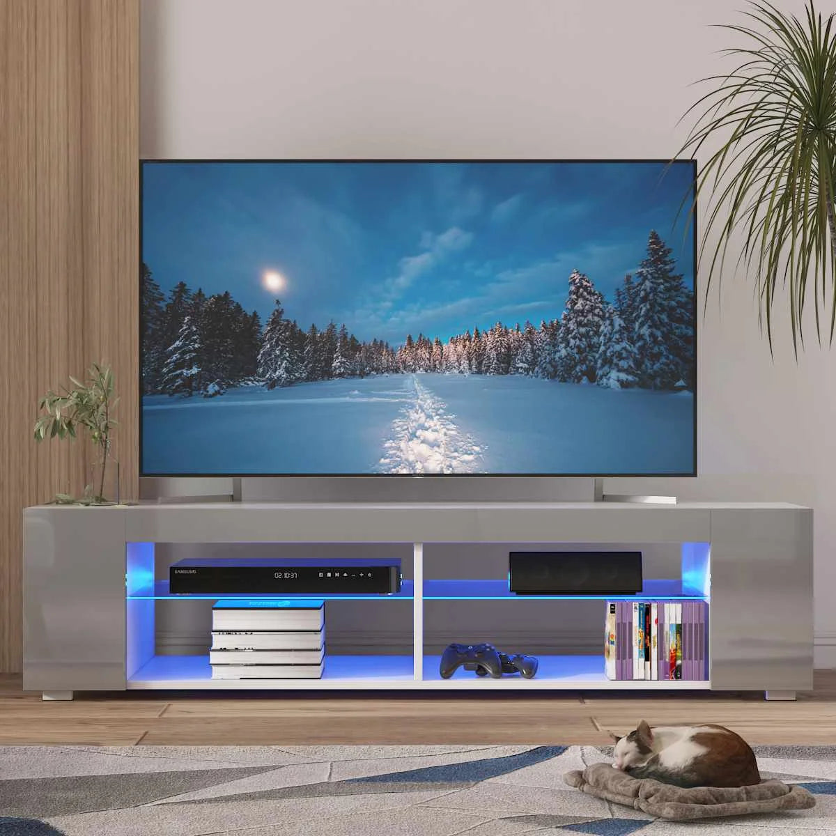 TV Stand Bookshelves With LED Lights